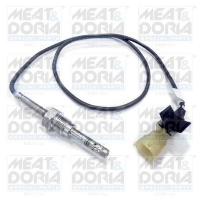 Sensor, exhaust gas temperature